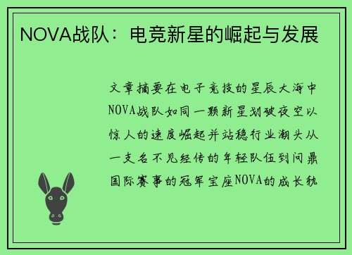 NOVA战队：电竞新星的崛起与发展