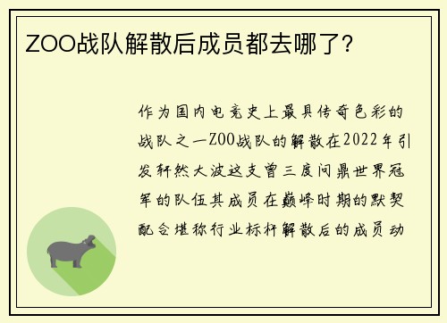 ZOO战队解散后成员都去哪了？